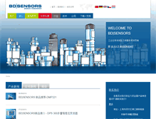 Tablet Screenshot of bdsensors-china.com